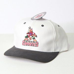 Vintage Phoenix Coyotes Officially Licensed ballcap Snapback NWT NHL Hockey